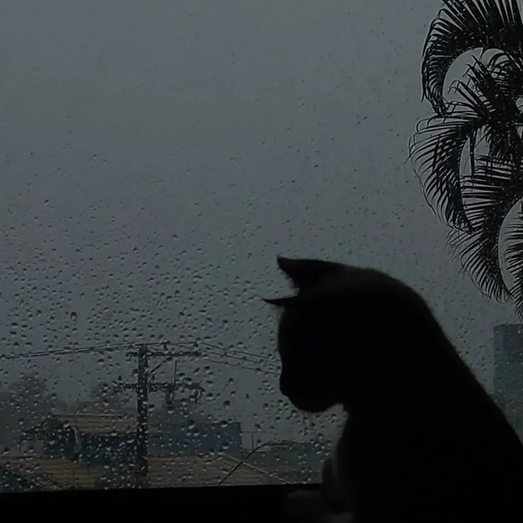 -чe[л]oвek✝️