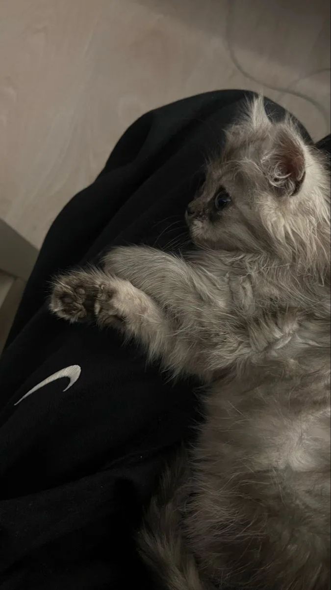 A story by Настенка, 24 October 2026, 06:23 — Чат chat